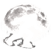 Bigfoot Roller Skater