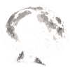 Bigfoot BMX Jump