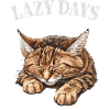 Lazy Days Cat Nap