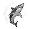 Shark Circle Mono Graphic