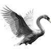 Low-Poly Swan in Flight