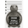 Crime Turtle Speeding Slow Zone