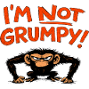 I'm Not Grumpy Monkey
