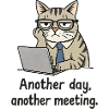 Grumpy Office Cat at Laptop