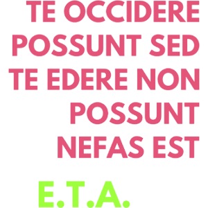 Enfield Tennis Academy Vintage Logo