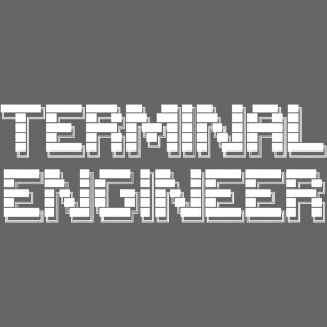 Terminal Engineer ASCII