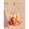 Sunlit Plastic Fruit Still Life