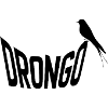 drongo