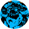 Blue Echo Faces