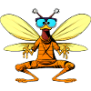 Fly Yogi