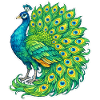 Vivid Peacock Cascade