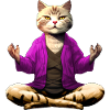 Yogi the Cat