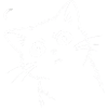 Surprised cat.