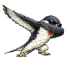 Dabbing Swallow