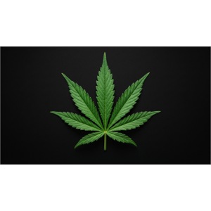 ***CANNABIS LEAF TEE***