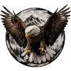 Eagle Over Mountain Circle