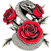 Serpent & Rose Noir