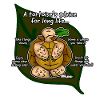 tortoise advice