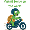 Turtle driver motorcycle