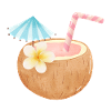 Tropical Coconut Sip
