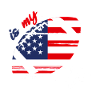Patriotic Football Life