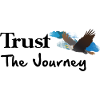 Soaring Eagle in Blue Sky