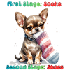 Chihuahua Sock Munching