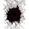 Dark Vortex Web Mandala