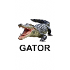 Gator shirt
