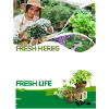 Fresh_Herbs Fresh Life
