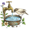 Bird at Rustic Tap Garden Watering