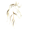 Golden horse line art 