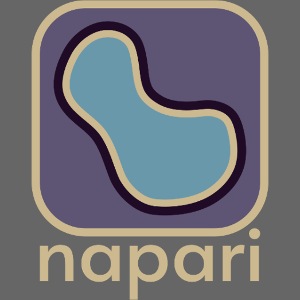 napari pocket logo light design