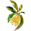 Geometric banana plant illustration