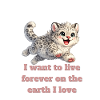 Happy Snow Leopard Design