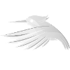 Birds_Are_My_Model