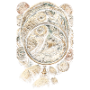 Coin collector Numismatist