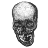 Gothic Skull Lace Portrait