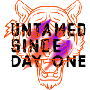 Tiger Head Gradient