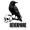 Raven and Skull Monochrome Gothic