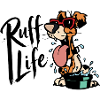 Splashy Sunglasses Pup
