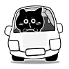 Chubby Black Cat Expressions - driver cat