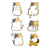 Chubby Calico Cat Expressions