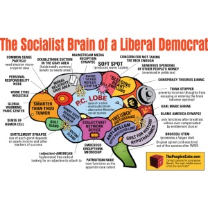 Brain of a socialist
