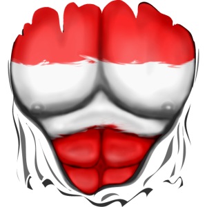 Austria Flag Ripped Muscles, six pack, chest t-shi