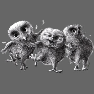 Three Crazy Owls