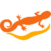 salamander