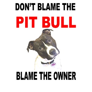 DON'T BLAME THE PIT BULL