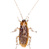 BEDAZZLED ROACH