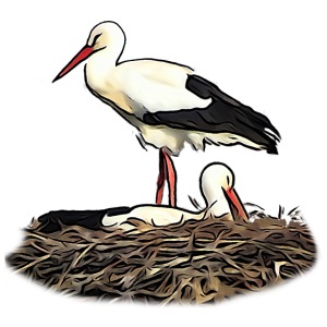 Birthday Shirt Storks breeding baby